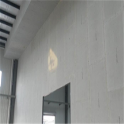 共和宁波ALC板|EPS加气板隔墙与混凝土整浇联接的实验研讨